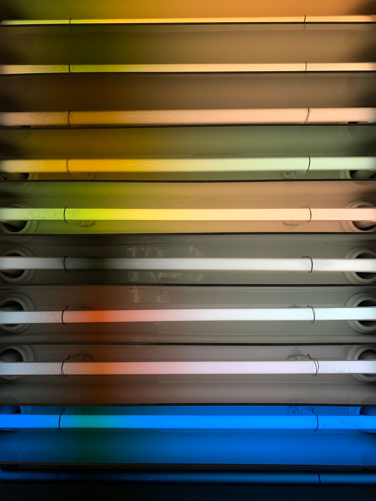 93ft Neon Workshops Glass Tube Closeup