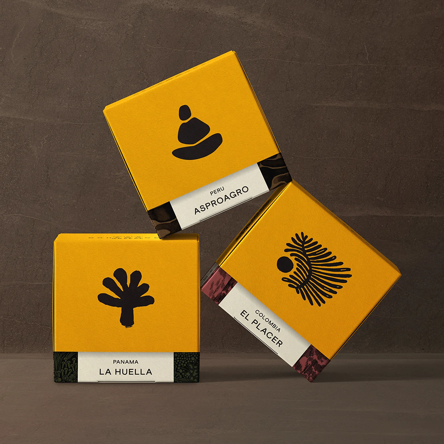 Collection of three branded packaging boxes