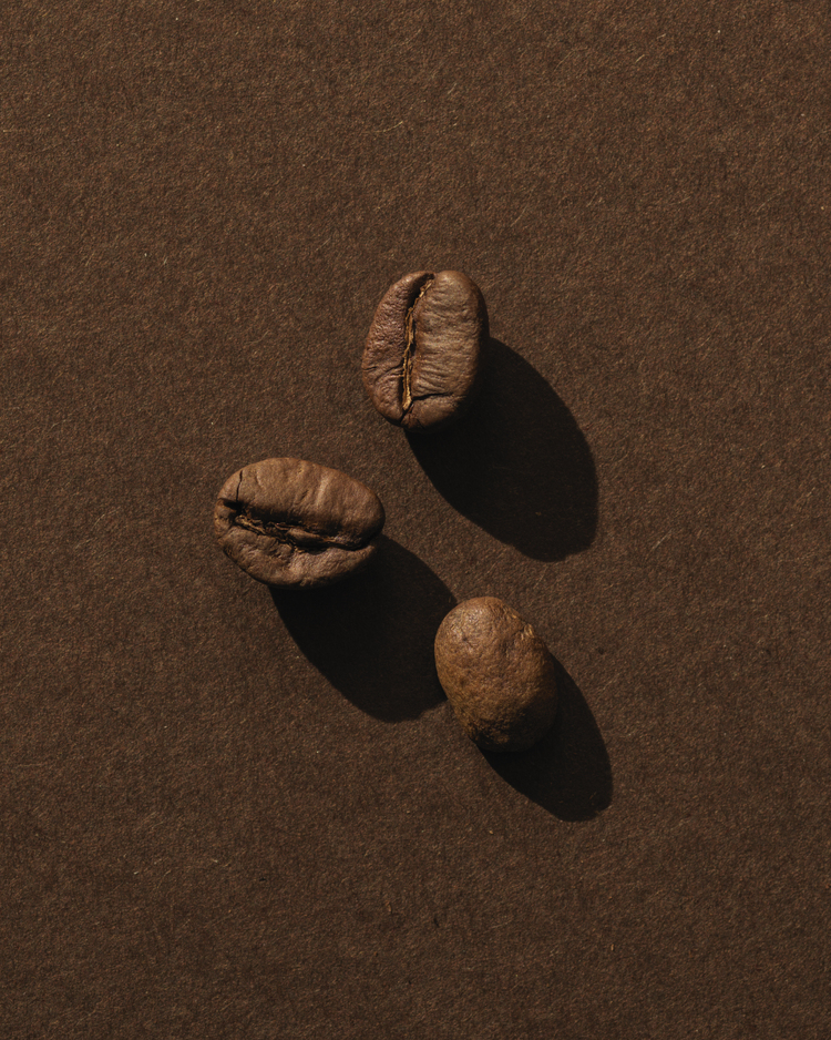 A close up of three Dark woods roasted coffee beans on a dark brown background. Warm still life lighting and shadows.