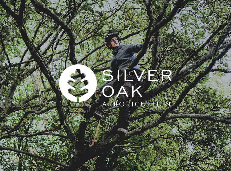 93ft Branding Identity Important Business Tell Story Silver Oaks Arboriculture