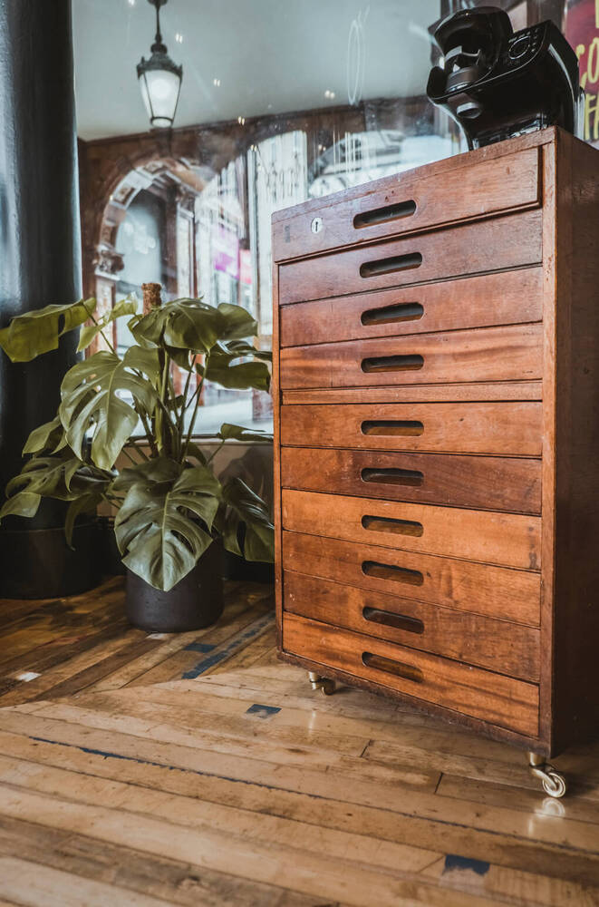 Vintage wooden cabinet with drawers at Grey Street Opticians with monstera plant beside & reclaimed sports hall floorboards.